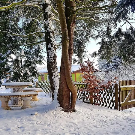 Ruhig Gelegener Ferienbungalow Mit Terrasse Und Garten Am Waldrand * Bad Elster