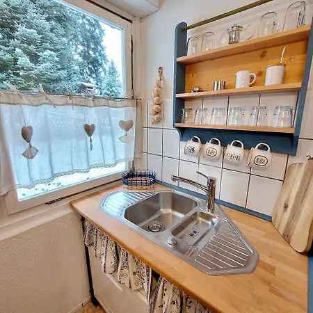Ruhig Gelegener Ferienbungalow Mit Terrasse Und Garten Am Waldrand * Bad Elster